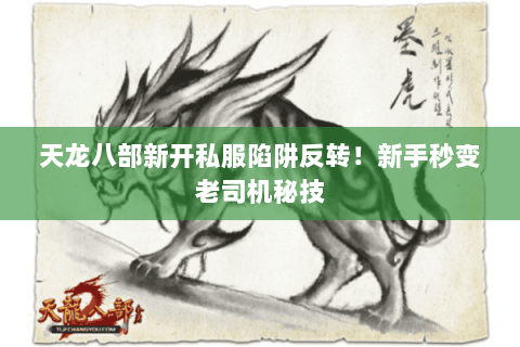 天龙八部新开私服陷阱反转！新手秒变老司机秘技