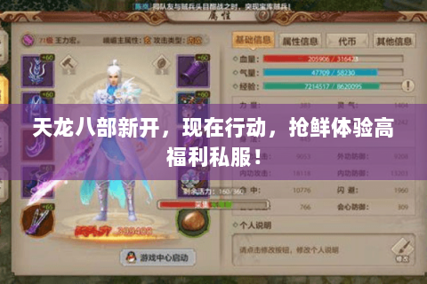 天龙八部新开，现在行动，抢鲜体验高福利私服！