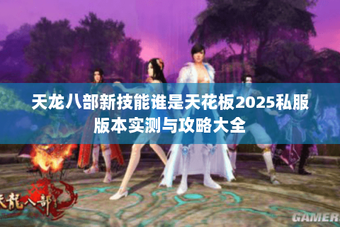 天龙八部新技能谁是天花板2025私服版本实测与攻略大全