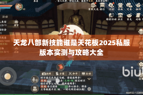 天龙八部新技能谁是天花板2025私服版本实测与攻略大全