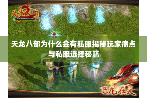 天龙八部为什么会有私服揭秘玩家痛点与私服选择秘籍