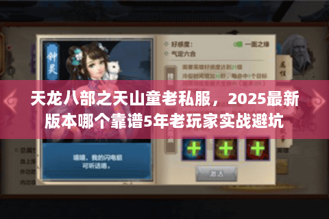 天龙八部之天山童老私服，2025最新版本哪个靠谱5年老玩家实战避坑
