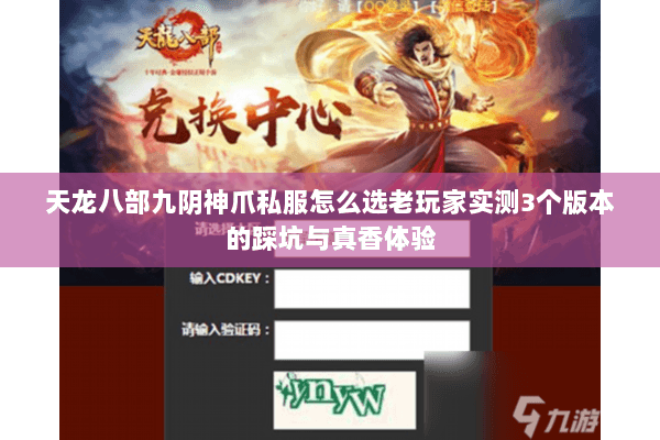 天龙八部九阴神爪私服怎么选老玩家实测3个版本的踩坑与真香体验