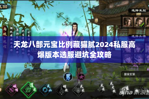 天龙八部元宝比例藏猫腻2024私服高爆版本选服避坑全攻略