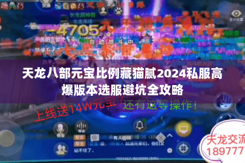 天龙八部元宝比例藏猫腻2024私服高爆版本选服避坑全攻略