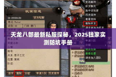 天龙八部最新私服探秘，2025独家实测防坑手册