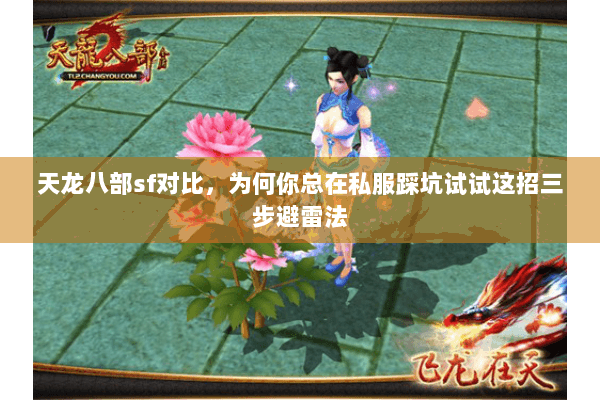 天龙八部sf对比，为何你总在私服踩坑试试这招三步避雷法