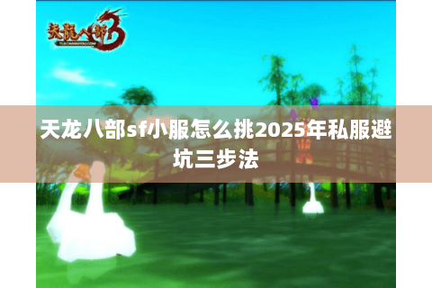 天龙八部sf小服怎么挑2025年私服避坑三步法 天龙八部sf小服怎么挑2025年私服避坑三步法