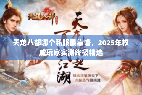 天龙八部哪个私服最靠谱，2025年权威玩家实测终极精选