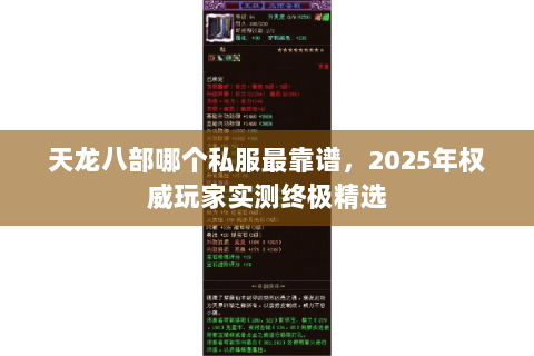 天龙八部哪个私服最靠谱，2025年权威玩家实测终极精选