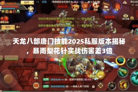 天龙八部唐门技能2025私服版本揭秘，暴雨梨花针实战伤害差3倍