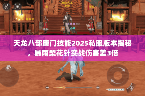 天龙八部唐门技能2025私服版本揭秘，暴雨梨花针实战伤害差3倍