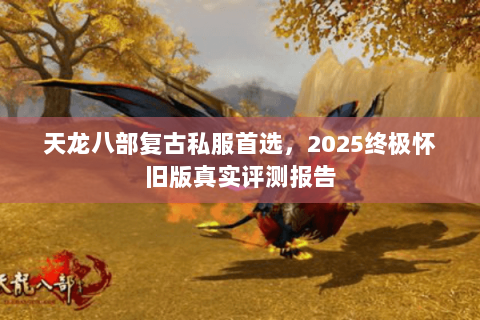 天龙八部复古私服首选，2025终极怀旧版真实评测报告