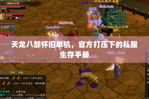 天龙八部怀旧单机，官方打压下的私服生存手册