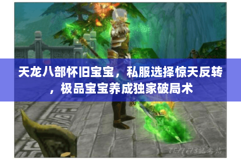 天龙八部怀旧宝宝，私服选择惊天反转，极品宝宝养成独家破局术