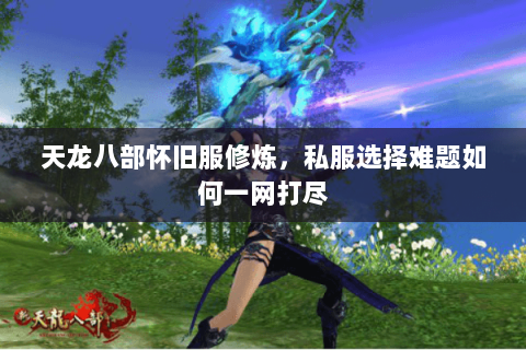 天龙八部怀旧服修炼，私服选择难题如何一网打尽