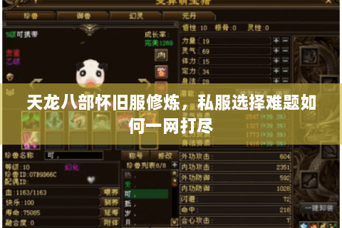 天龙八部怀旧服修炼，私服选择难题如何一网打尽