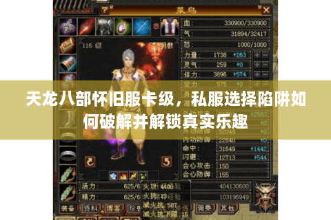 天龙八部怀旧服卡级，私服选择陷阱如何破解并解锁真实乐趣