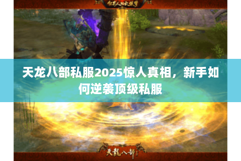 天龙八部私服2025惊人真相，新手如何逆袭顶级私服