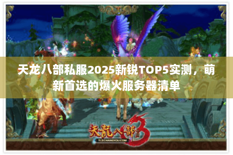 天龙八部私服2025新锐TOP5实测，萌新首选的爆火服务器清单