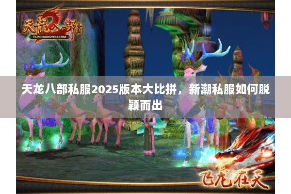 天龙八部私服2025版本大比拼，新潮私服如何脱颖而出