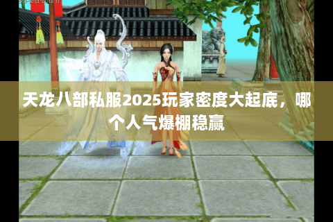 天龙八部私服2025玩家密度大起底，哪个人气爆棚稳赢