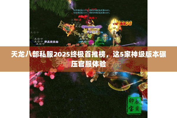 天龙八部私服2025终极首推榜，这5家神级版本碾压官服体验