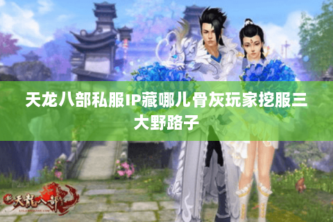天龙八部私服IP藏哪儿骨灰玩家挖服三大野路子