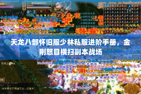 天龙八部怀旧服少林私服进阶手册，金刚怒目横扫副本战场