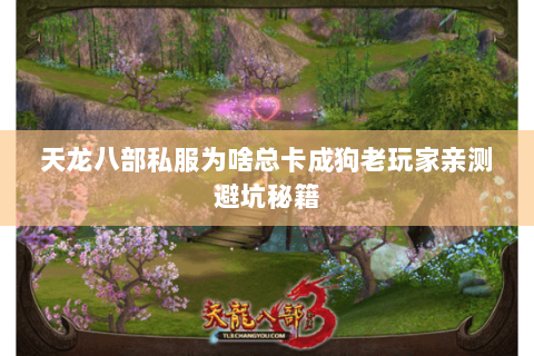 天龙八部私服为啥总卡成狗老玩家亲测避坑秘籍