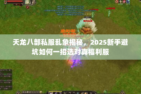 天龙八部私服乱象揭秘，2025新手避坑如何一招选对真福利服