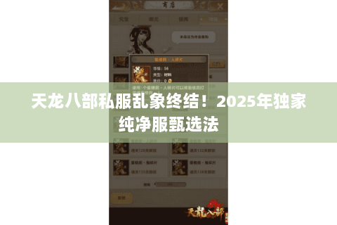 天龙八部私服乱象终结！2025年独家纯净服甄选法