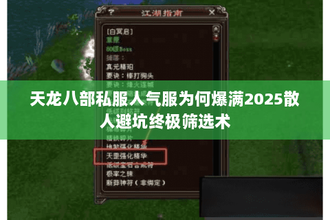天龙八部私服人气服为何爆满2025散人避坑终极筛选术