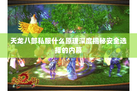 天龙八部私服什么原理深度揭秘安全选择的内幕