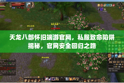 天龙八部怀旧端游官网，私服致命陷阱揭秘，官网安全回归之路