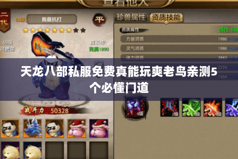 天龙八部私服免费真能玩爽老鸟亲测5个必懂门道