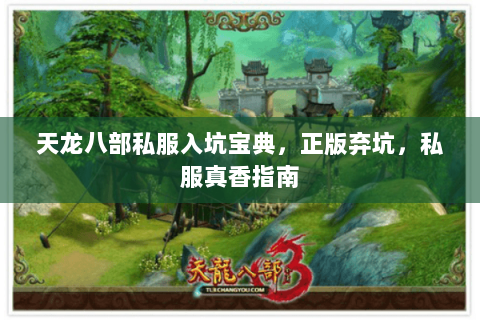 天龙八部私服入坑宝典，正版弃坑，私服真香指南