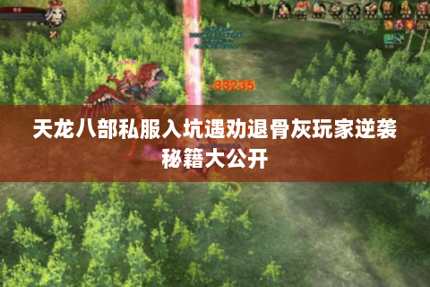 天龙八部私服入坑遇劝退骨灰玩家逆袭秘籍大公开 天龙八部私服入坑遇劝退骨灰玩家逆袭秘籍大公开