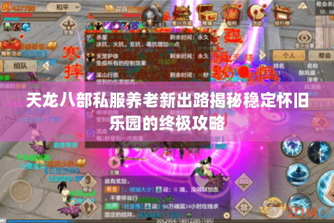 天龙八部私服养老新出路揭秘稳定怀旧乐园的终极攻略