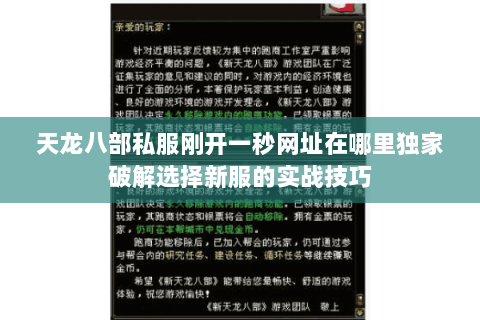天龙八部私服刚开一秒网址在哪里独家破解选择新服的实战技巧