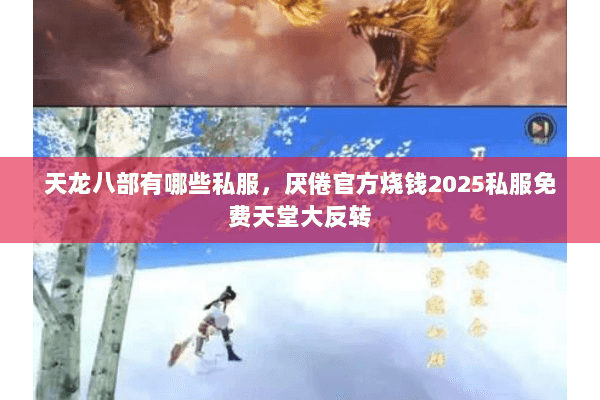 天龙八部有哪些私服，厌倦官方烧钱2025私服免费天堂大反转