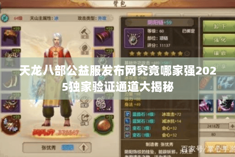天龙八部公益服发布网究竟哪家强2025独家验证通道大揭秘