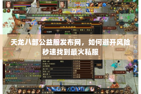 天龙八部公益服发布网，如何避开风险秒速找到最火私服