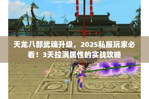 天龙八部武魂升级，2025私服玩家必看！3天拉满属性的实战攻略