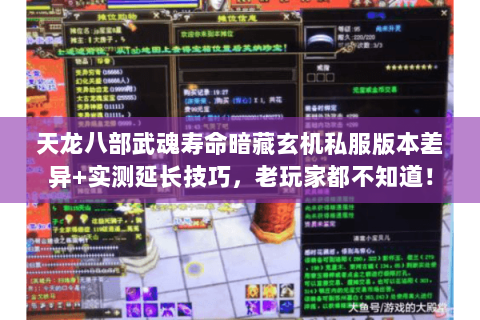 天龙八部武魂寿命暗藏玄机私服版本差异+实测延长技巧，老玩家都不知道！
