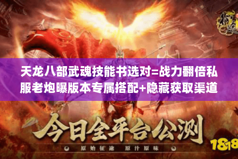 天龙八部武魂技能书选对=战力翻倍私服老炮曝版本专属搭配+隐藏获取渠道