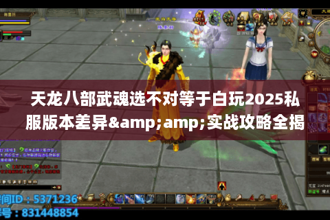 天龙八部武魂选不对等于白玩2025私服版本差异&amp;实战攻略全揭秘