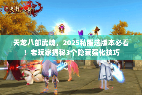 天龙八部武魂，2025私服选版本必看！老玩家揭秘3个隐藏强化技巧