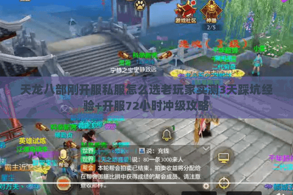 天龙八部刚开服私服怎么选老玩家实测3天踩坑经验+开服72小时冲级攻略 天龙八部刚开服私服怎么选老玩家实测3天踩坑经验+开服72小时冲级攻略