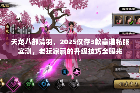 天龙八部清羽,2025仅存3款靠谱私服实测,老玩家藏的升级技巧全曝光 天龙八部清羽,2025仅存3款靠谱私服实测,老玩家藏的升级技巧全曝光
